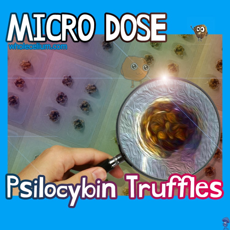 MICRODOSING "XP" Psilocybin - strip