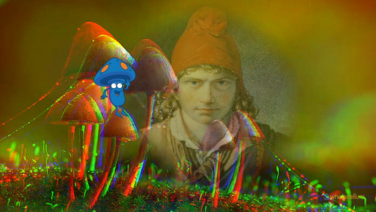 Everything You Need To Know About Liberty Caps Iconic Shroom!