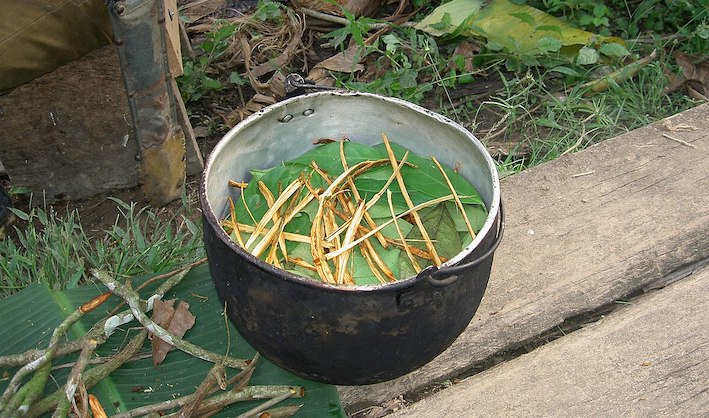 infuso di ayahuasca
