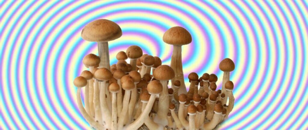 magické houby na spirálovém pozadí