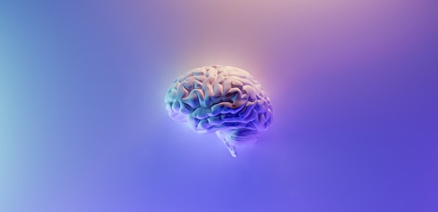 brain on lilac background