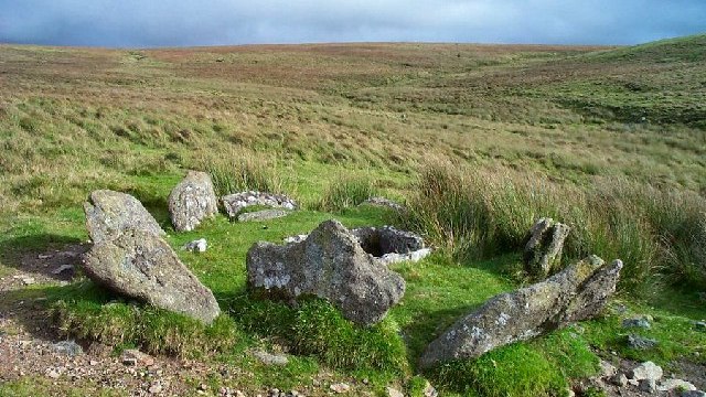 Dartmoor stenar