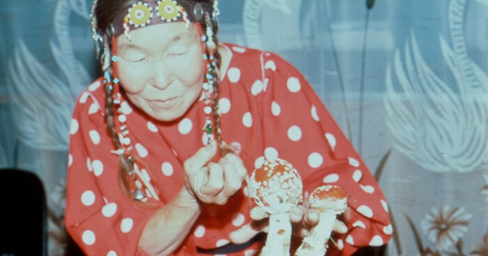 Siperialainen shamaani nainen punaisessa pilkkupuvussa ja sieniä mukanaan pitäen
