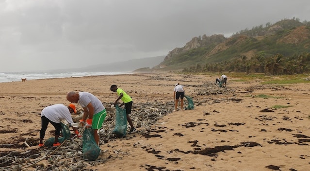 cilvēki tīra atkritumus pludmalē