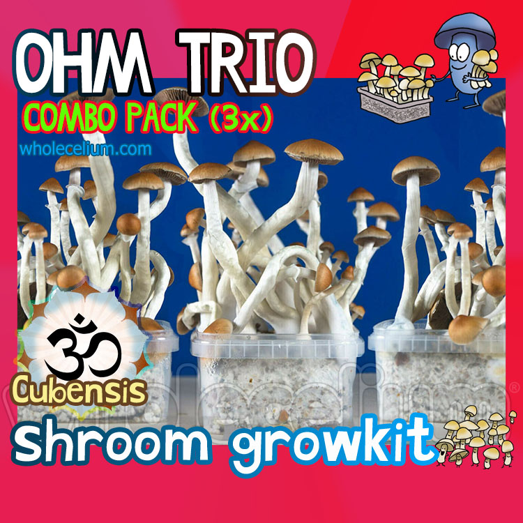 OHM Trio - COMBO-Pack (3 lådor)